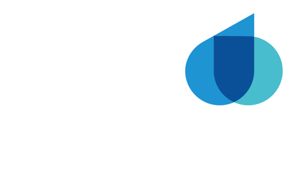 Aneas Logo